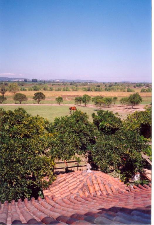 Quinta Do Casalinho Pension Almeirim Kamer foto